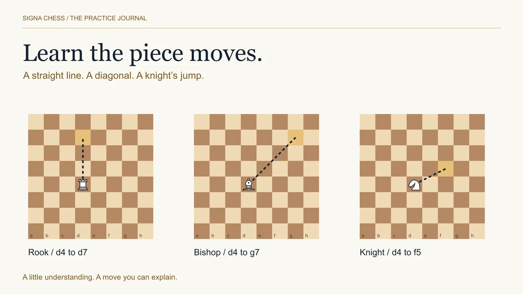 A rook, bishop, and knight beside distinct movement paths on a chessboard.